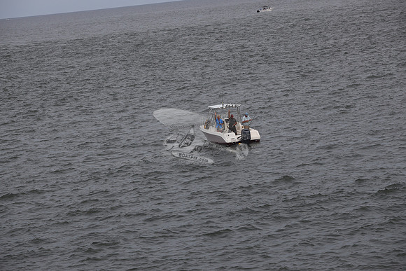 COBIA.6