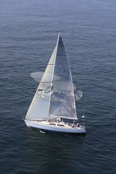 3.stormey pretrel.7