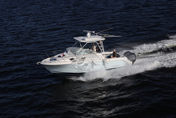 ACCI-DENTAL.JAX FL.ROBALO.12