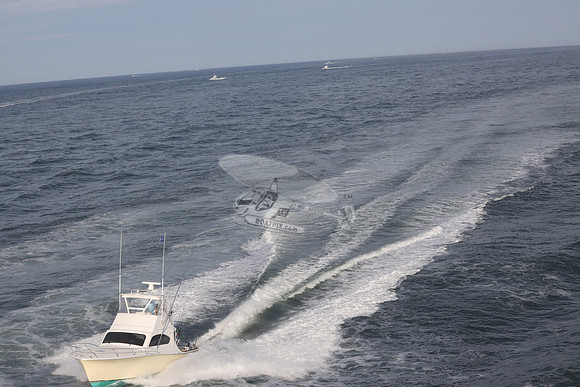 A SALT WEAPON 3.OCEAN CITY MD.29