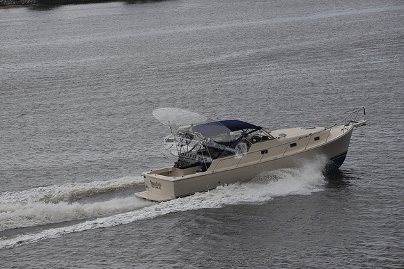 DIAMONDBACK.KENT ISLAND MD.1