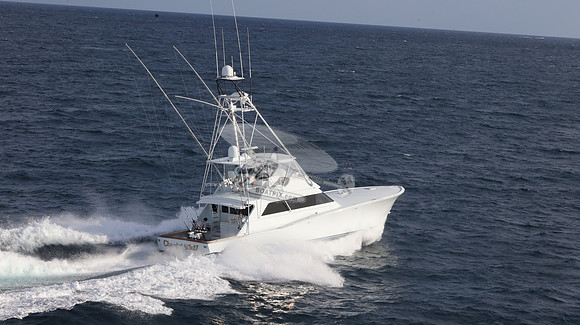 CHASIN TAIL.SINGER ISLAND.2936
