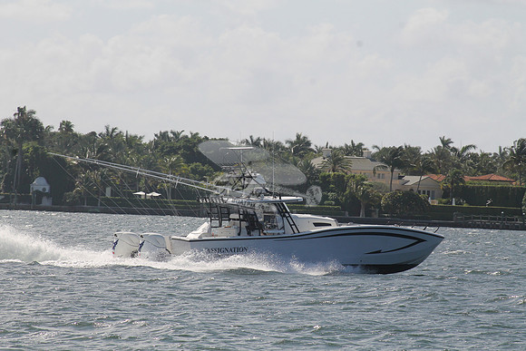 ASSIGNATION.HOBE SOUND FL.15
