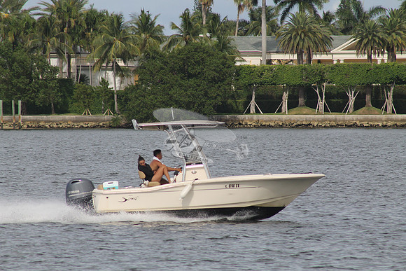 FL0786SX.903