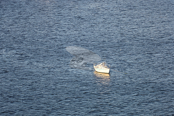 FL5546GS MAYBE.SAIL.100