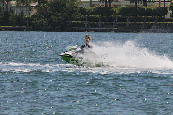 FL1776TE.06