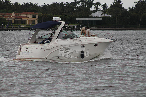 DISC GUY.PALM BCH FL.CHPRL31.701