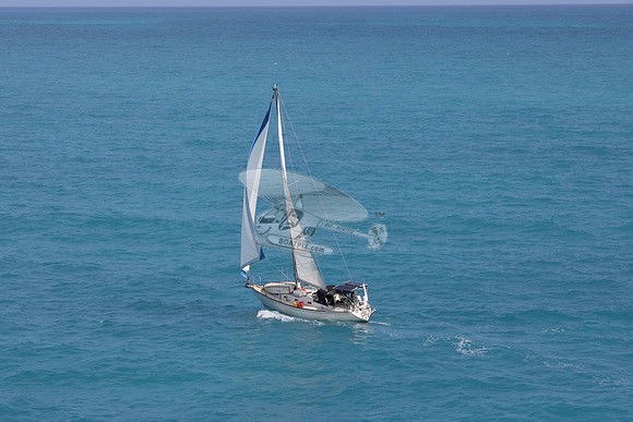 017.floren c.3879