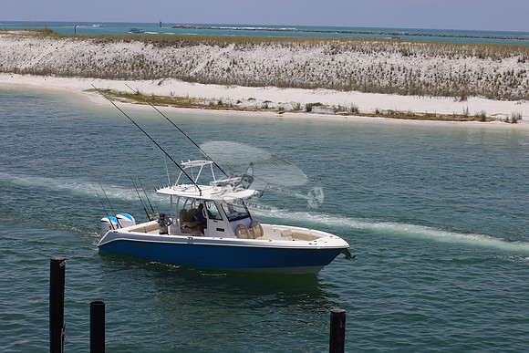 7 Shark.everglades.1