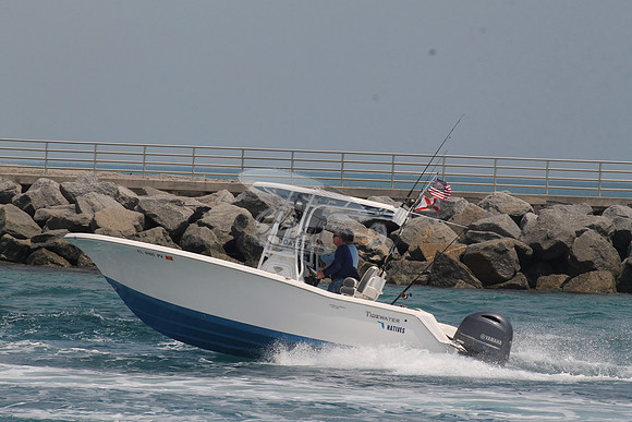 FL0105PV.335