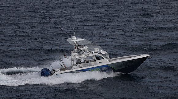 FFMD.EVERGLADES.4 YAMAHA BLUE.2827