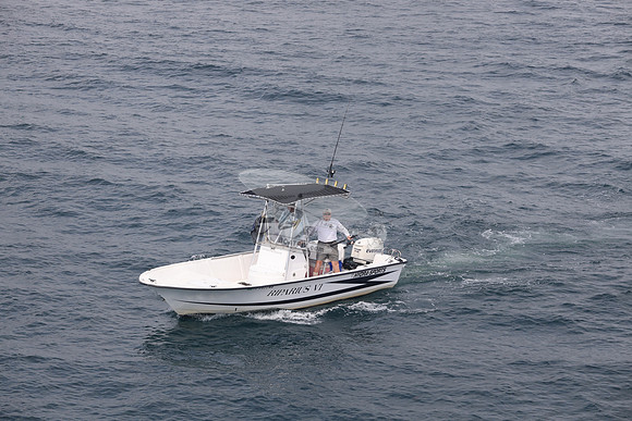 FL2022MB.RIPARIUS VI.11