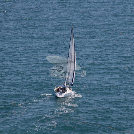 422.FL8313SN..SPIRIT OF THE WIND.05