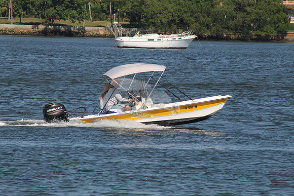 FL1259RP.06
