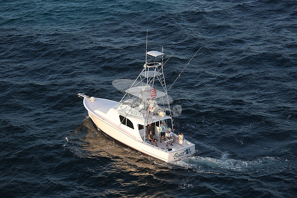 BUZZ ON.ISLAMORADA FL.11