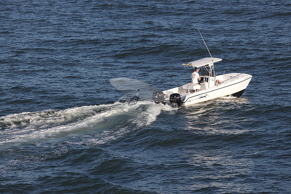 dl3887s.sea cat.9481