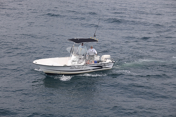 FL2022MB.RIPARIUS VI.10