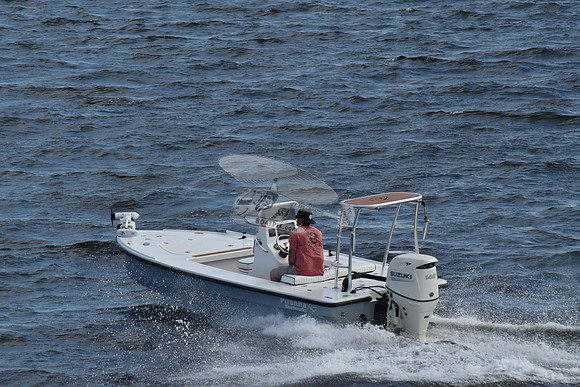 FL1841SB.1