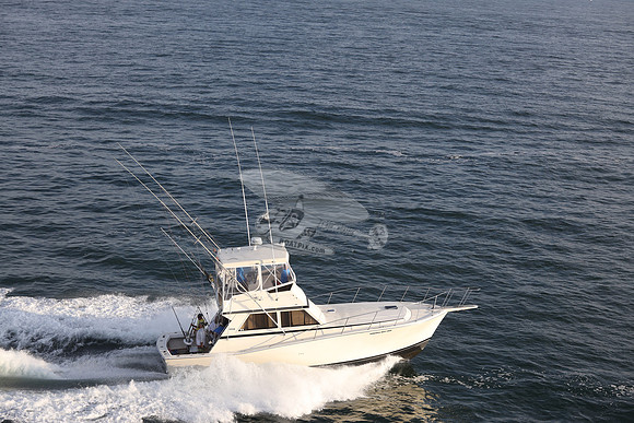 amanda may hem.ocean city md.1650