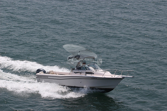 fl8366tm.10