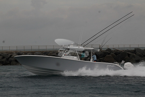 CRY..YELLOWFIN.07