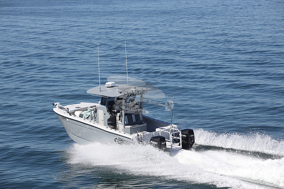FL8410TH.03