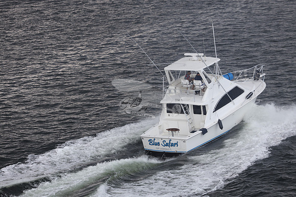 blue safari.laud.ocean.19
