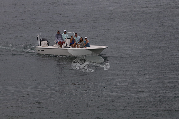 al0763vr.1