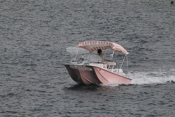 FL1555FU.01