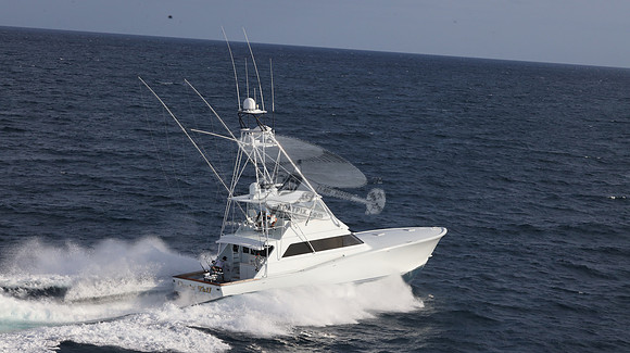 CHASIN TAIL.SINGER ISLAND.2938