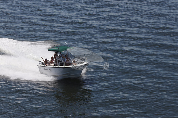 fl0146kj.07