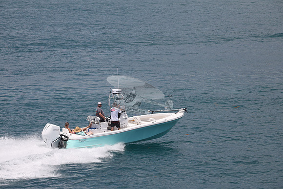 BlackJack 256.green.09