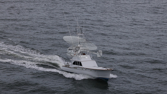 ballie who iii.islamorada fl.9533