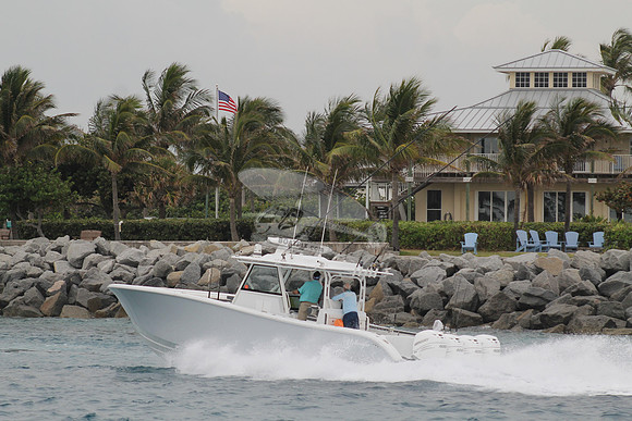 CRY..YELLOWFIN.10