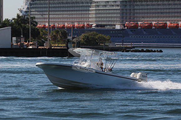 fl2839rs.1
