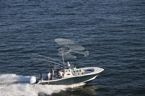 NJ1445HP.17