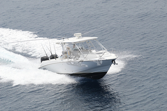 1293867.reel life.boston whaler.17