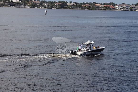 Bluefin marine.01
