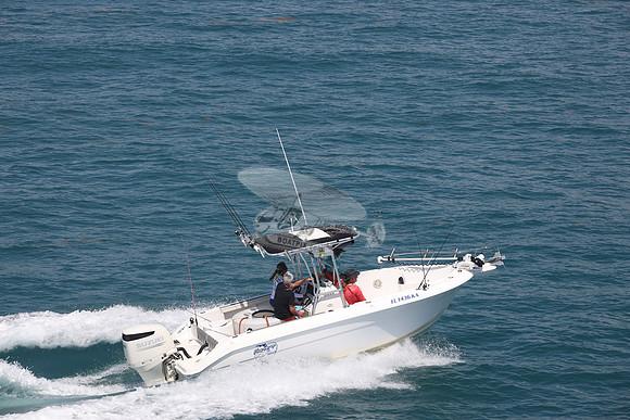 fl1436ka.01
