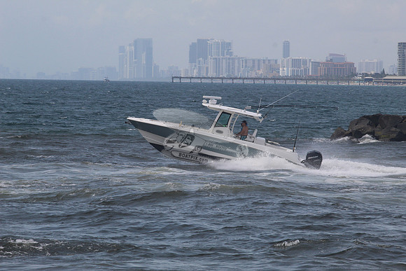 BOSTON WHALER32.3