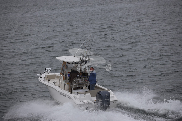 fl9552er.01