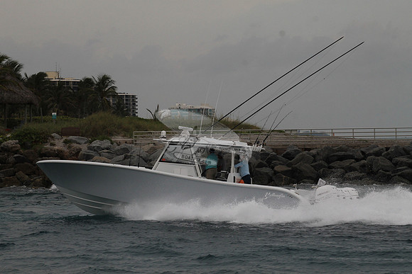 CRY..YELLOWFIN.08