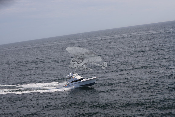 ABSOLUT PLEASURE.OCEAN CITY MD.21