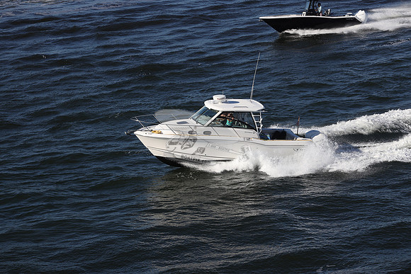 BOSTON WHALER31.4403