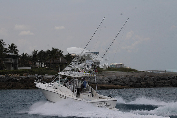 DIRTY BLONDE.JUPITER FL.PURSUIT.06