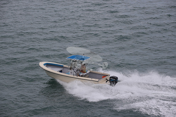 fl1726lv.08