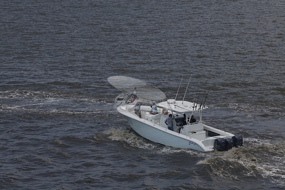 al.yellowfin.08