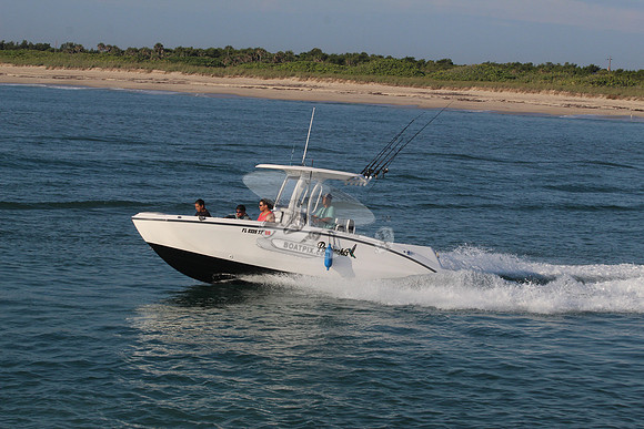 fl0335tf.5