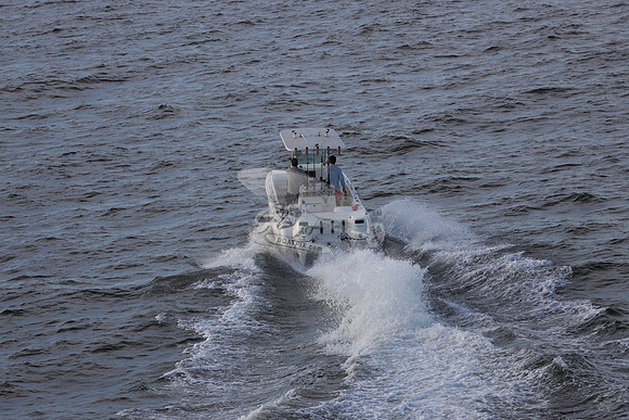 al1604lm.02