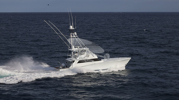 CHASIN TAIL.SINGER ISLAND.2946